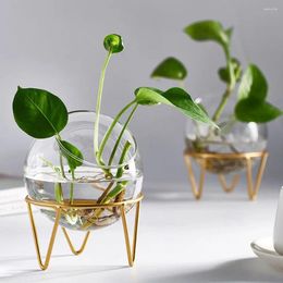 Vases Hydroponic Vase Plant Flower Pot Spherical Shape Glass Iron Art Simple Arrangement Office Home Desktop