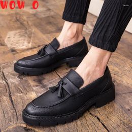 Casual Shoes Men Tassel Zapatos Brand 2024 Loafers Slip On Fashion Moccasins Breathable Driving For