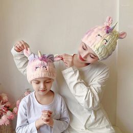 Towel Cartoon Binaural Polyester Brocade Coral Velvet Shower Cap Thickened Absorbent Cute Creative Embroidery Dry Hair