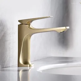 Bathroom Sink Faucets Gold/Chrome Unique Single Handle And Cold Water Faucet Brass Mixer Tap With Hose 4452