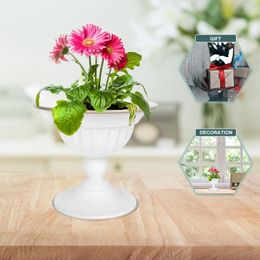 Vases Wrought Iron Vase Home Desktop Garden Planter Household Pot White Simple Flower Adornment Kettle
