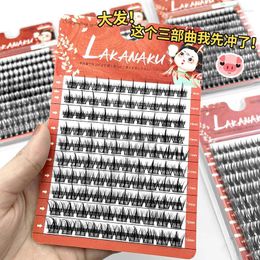 False Eyelashes 10rows Large Capacity Mixing Length Grafted Extension Reusable C Crul Thick Dramatic Stage Lashes Supplier Makeup Kit