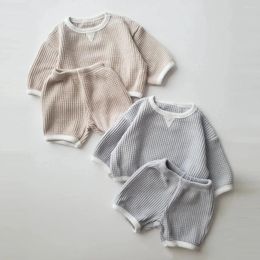 Clothing Sets Korean Born Boys' Waffle Set 2024 Autumn Girls' Two Piece Long Sleeve Top And Shorts Baby Sportswear