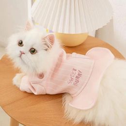Cat Costumes Fall Velour Striped Three-dimensional Small Sweater Two-legged Skirt Puppies Medium And Dog Pet Clothes