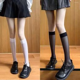 Women Socks Korean Solid Colour Summer Thin Transparent Silk For Calf Lolita Breathable Middle Tube Female Hosiery