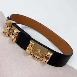 Belts Fashionable womens belt with locked leather belt 4.5 classic hardware adjustable leather bandwidth beltC420407