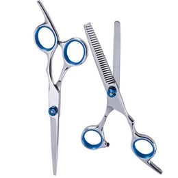 Professional 6.0 Inch Hairdressing Scissors Hairdressing Scissors Thin Shear Flat Shears Hairdressing Salon HairstylistProfessional Hair Shears
