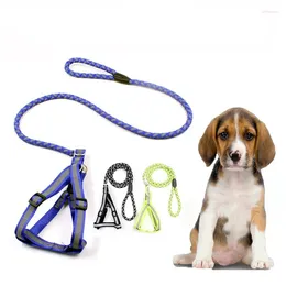 Dog Collars Pets Reflective Harness Lead Collar Set Night Light Leash Round Rope Luminous Chest Pet Accessories