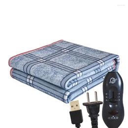 Blankets 36V Electric Heated Blanket Single Warmer Sheets Mattress USB Interface Thermostat Carpet For Bedroom Winter Heating