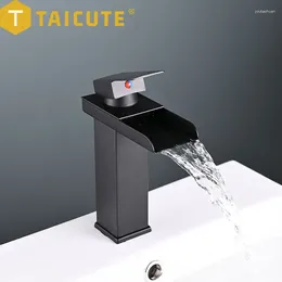 Bathroom Sink Faucets TAICUTE Washbasin Waterfall Faucet Cold Water Mixer Tap Stainless Steel Accessories Black Chrome