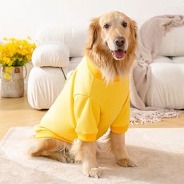 Dog Apparel Winter Pet Clothes Warm Jacket With 3D Bear Accessories Thin Velvet For Golden Retriever Big Large Dogs