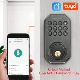 Lock Tuya Smart Door lock Wifi Electric Key Lock Smart APP Digital Code Electronic Door Lock For Locker Home Security Mortise