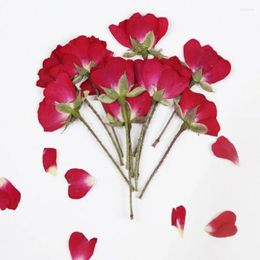 Decorative Flowers 120pcs Dried Pressed Red Rose With Stalk Plant Herbarium For Jewelry Postcard Bookmark Craft Making Accessories
