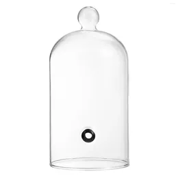 Plates Cloche Dome Cover Infuser Bell Jar Glass Display Dome- Proof Bread For