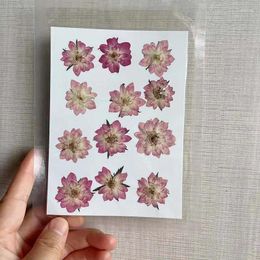 Decorative Flowers 3-4CM/12&24PCS Real Natural Pressed Dried Roses Heads In Pink Dry Press Rose For Epoxy Resin Jewellery Invitation Card