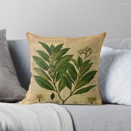 Pillow Botanical Print On Old Book Page Throw Sofa S Covers Cover For