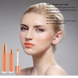 No Logo Makeup Lip Gloss Waterproof Shiny Glossy Liquid Lip Gloss Stick Lipgloss 7 colors Shimmer Lip Gloss Lipsticks Make Up Lipg6187213