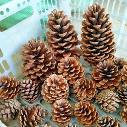 Decorative Flowers Natural Pine Nuts Fruit Dried Artificial Flower Cones For Home Wedding Christmas Decoration DIY Garland Wreath