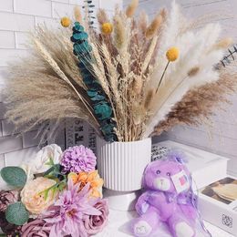 Decorative Flowers Real Dried Small Pampas Grass Bunch Natural Plants Home Decor Phragmites Flower Ornamental Wedding 76pcs