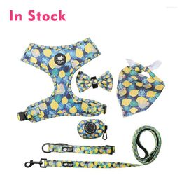 Dog Collars Soft Pet Harness And Leash Collar Set Adjustable Lovely Bow Nylon For Small Medium Leashes Outdoor Walking Supplies