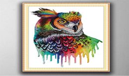 Rainbow owl Handmade Cross Stitch Craft Tools Embroidery Needlework sets counted print on canvas DMC 14CT 11CT2942308