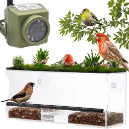 Cameras Camhi 940nm IR Outdoor Mini Waterproof Video Security Pet Nest Bird Watching Camera 1080P 5MP Wifi IP Bird Box Camera Kit