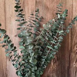 Decorative Flowers 40-45CM/10PCS Real Natural Preserved Dried Eucalyptus Branches Eternal Leaves Dry For Home Floral