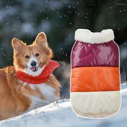 Dog Apparel Pretty Pet Cotton Coat Anti-fall Shirt Attractive Dress Up Colour Matching