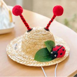 Dog Apparel Pet Decor Hat Outdoor Supplies Straw 2 Sizes Comfortable Useful