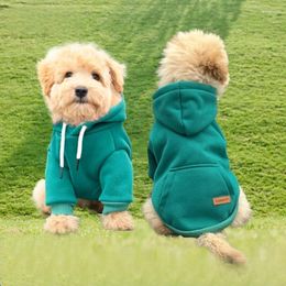 Dog Apparel Ins Style Pet Hoodie Sweater Coat Warmer Winter Jacket Cat Clothes Outfit Outerwear