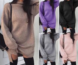 Dresses for Womens Clothes Womens Turtle Neck Long Sleeve Knit Winter Jumper Top Loose Sweater Dress Casual6211836