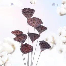 Decorative Flowers Floral Bouquet DIY Crafting Accessories Natural Dried Flower Lotus Plants Mini Cotton