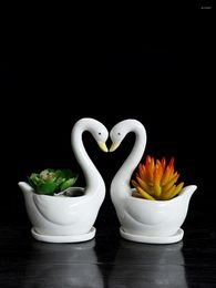 Vases Swan Couple Flowerpot Small Ornamental Succulent Miniature Cactus Holder Ceramic Art Craft Ornament Decorative Home Decor