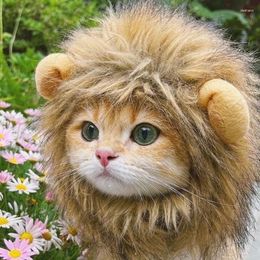 Dog Apparel Cat Lion Headgear Ears Small Hat Pet Cute Funny Accessories Headdress