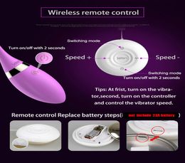 Leten New Silicone USB Direct Charged Vibrating Egg Waterproof Wireless Remote Control Vibrator Sex Products Sex Toys For Woman9015997