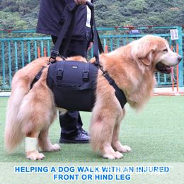 Portable Dog Sling for Back Legs Hip Support Harness Older Limping Canine Aid Assist Rehabilitation Lifting Leashes 240328