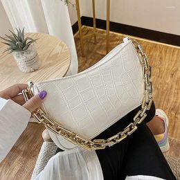 Bag In The Summer Of 2024 Fashion Leisure Thick Chain Shoulder Inclined High Quality Ladies Handbag And Purses Small Package