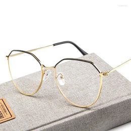 Sunglasses Frames Polygon Retro Glasses Female Irregular Flat Mirror Women Classic Transparent Clear Lens Spectacle For