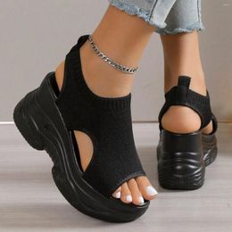 Sandals Thick Soled Summer Mesh Breathable Fish Mouth Sloping Heel Sports Leisure Shoes Women'S 2024