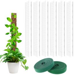 Supports 6Pcs Moss Pole 23.6 Inch Reusable Plastic Plant Pole Stick Transparent Plant Support Weather Resistant Moss Stick with 2x Garden