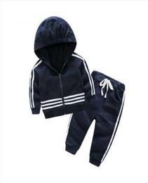 New 2020 Baby Baby Clothing Sets Children039s Garment Autumn And Winter New Pattern Male Girl Sweater Suit childrens clothe3228546