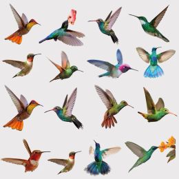 Stickers Hummingbird Window Stickers, AntiCollision Window Clings Decals Hummingbird Stickers Prevent Bird Strikes on Window Glass