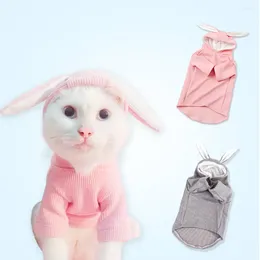 Dog Apparel Pet Gog Clothes Ears Spring And Summer Sweater Than Xiong Tedi Fight Cat Autumn Winter Clothing