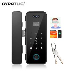 Lock Tuya Smart Home WiFi Security Electronic Biometric Rfid Card Password Access Control 3D Face Recognition Smart Glass Door Lock