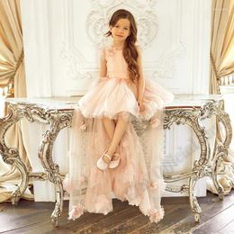 Girl Dresses Cute Pink High Low Proms Appliques Princess Flower Birthday Outfit For Wedding Party Costumes Customised