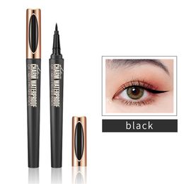 Großhandel 0,1 mm feiner Tipp klassische, schnell trocknende wasserdichte schwarze Charm Luquid Eyeliner Pen