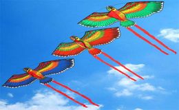 110cm Flat Eagle Kite Children Flying Bird Kites Windsock Outdoor Toys Garden Cloth Toys For Kids Gift 2206029654742