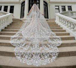 2020 Fashion Wedding Veils 3M Long Cathedral Length One Layer Lace Appliqued Edge Tulle Bridal Veil For Women Hair Accessories6037329