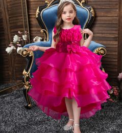 Girls' dresses 2024 flower child train dress organza cake Princess skirt casual dress wedding pompadour dress