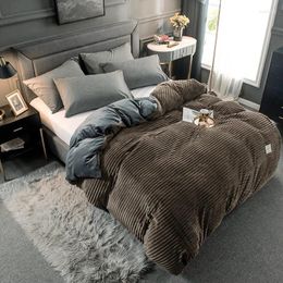 Bedding Sets Double Color Patchwork Magic Velvet Duvet Cover Fashion Solid Cartoon Print Comforter Winter Thick Home